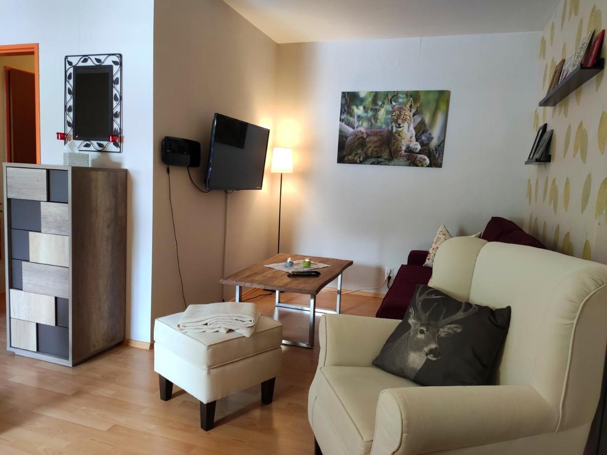 Ferienwohnung Harzluchs Mit Balkon, Netflix Und Sauna Im Haus Hohegeiß Zewnętrze zdjęcie
