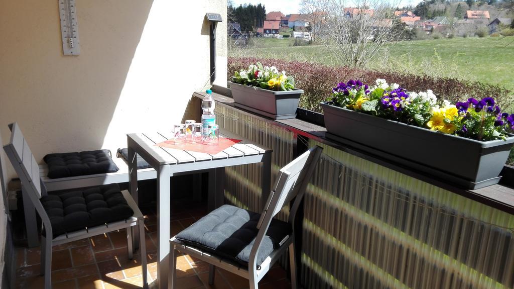 Ferienwohnung Harzluchs Mit Balkon, Netflix Und Sauna Im Haus Hohegeiß Zewnętrze zdjęcie