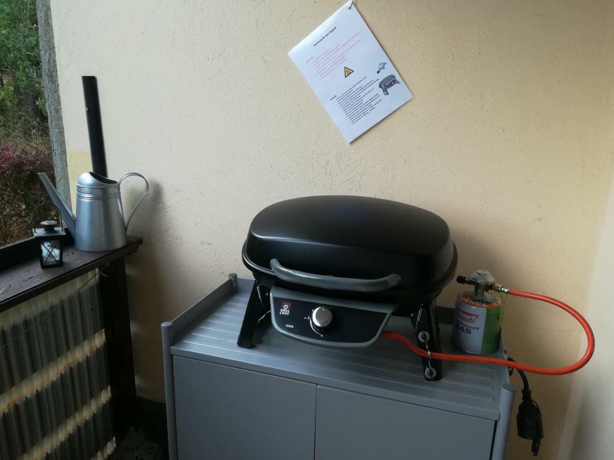 Ferienwohnung Harzluchs Mit Balkon, Netflix Und Sauna Im Haus Hohegeiß Zewnętrze zdjęcie